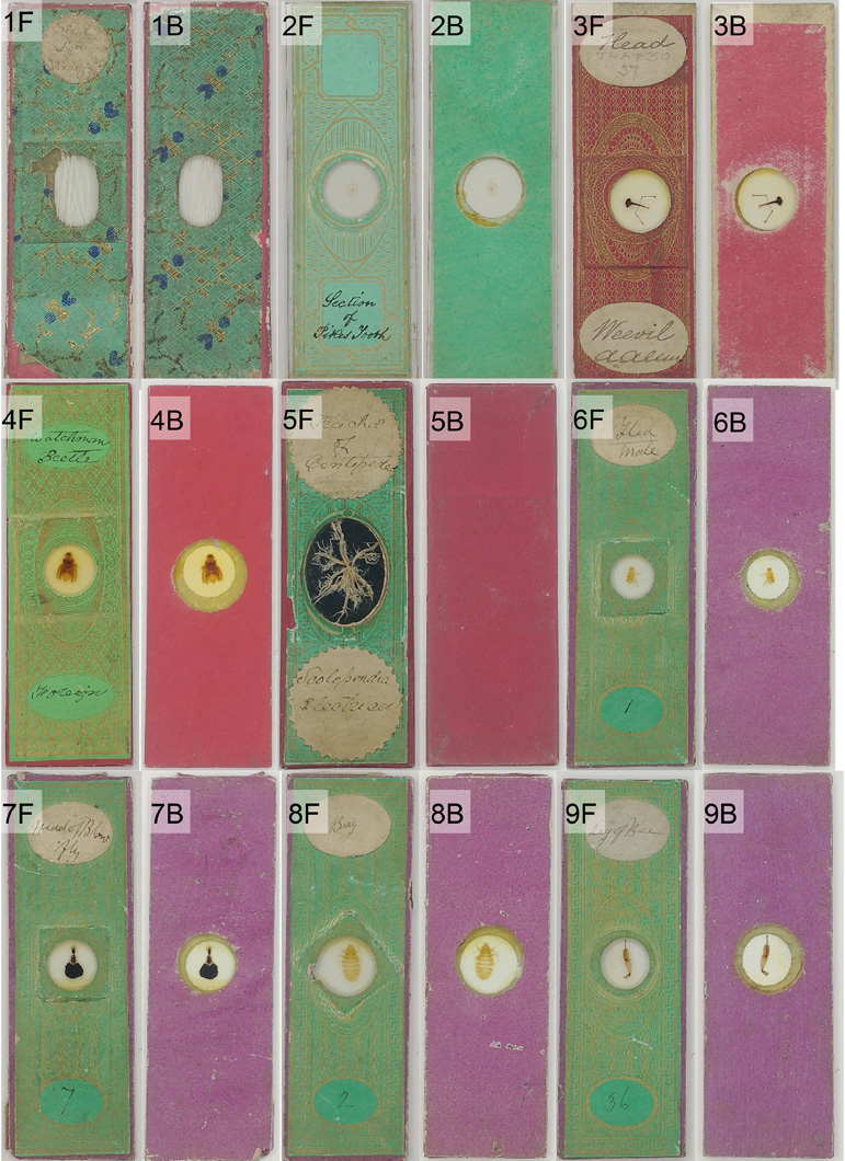 arsenic research representation