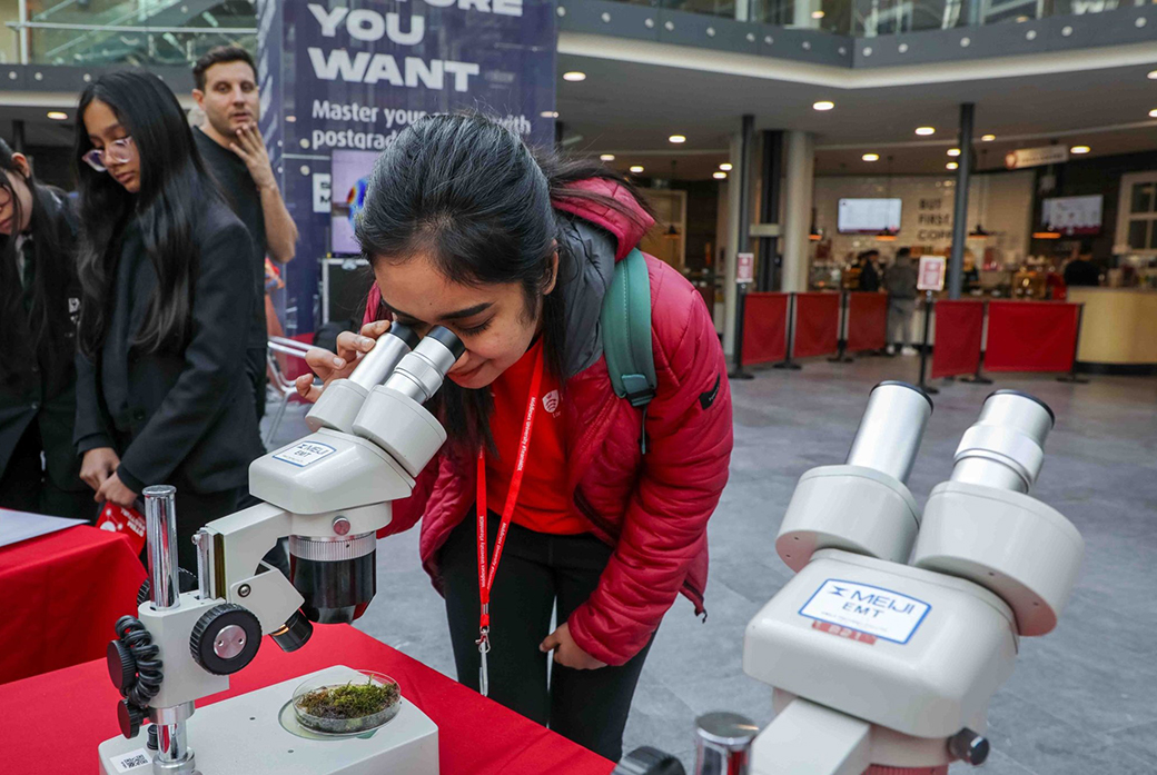 Student looks under microscope
