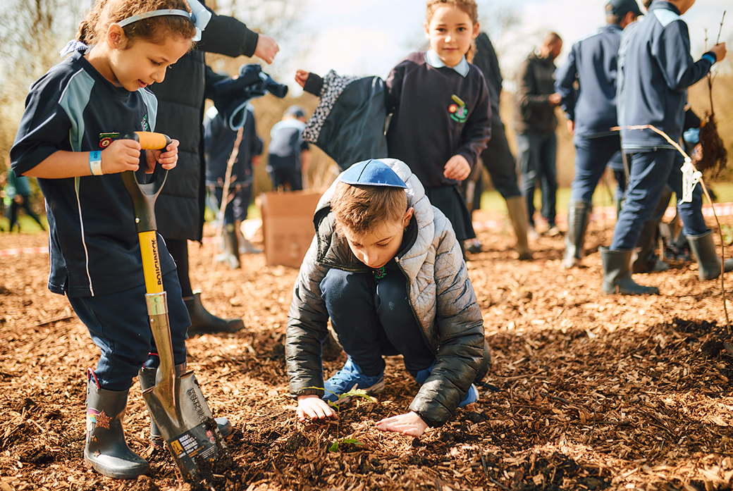 Three schoolchildren help to plant trees