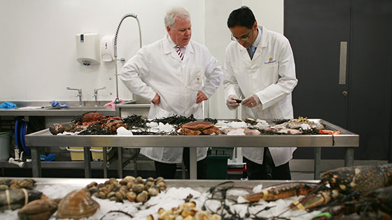 Lab experiment image regarding Environmental Health at Middlesex University