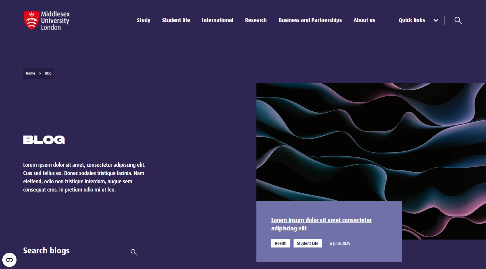 Screenshot showing example Blog Search Masthead