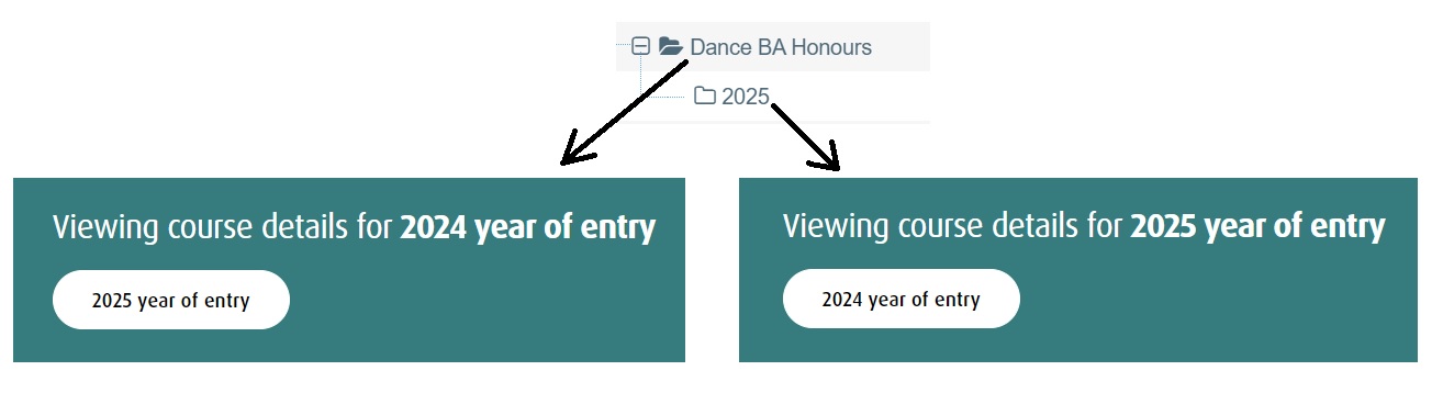 Screenshot showing how the course details block displays year of entry information
