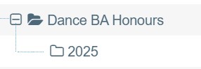 Screenshot showing recommended course structure in T4