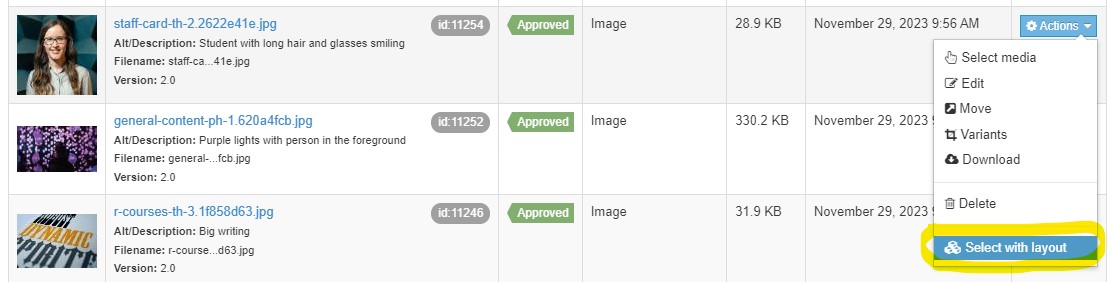 Screenshot showing the select layout option in the Media Library