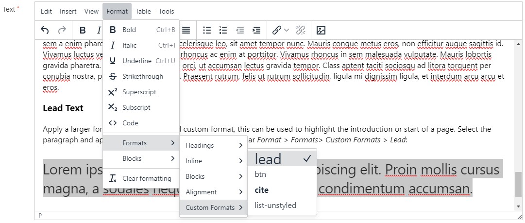 Screenshot showing example of how to add lead custom format
