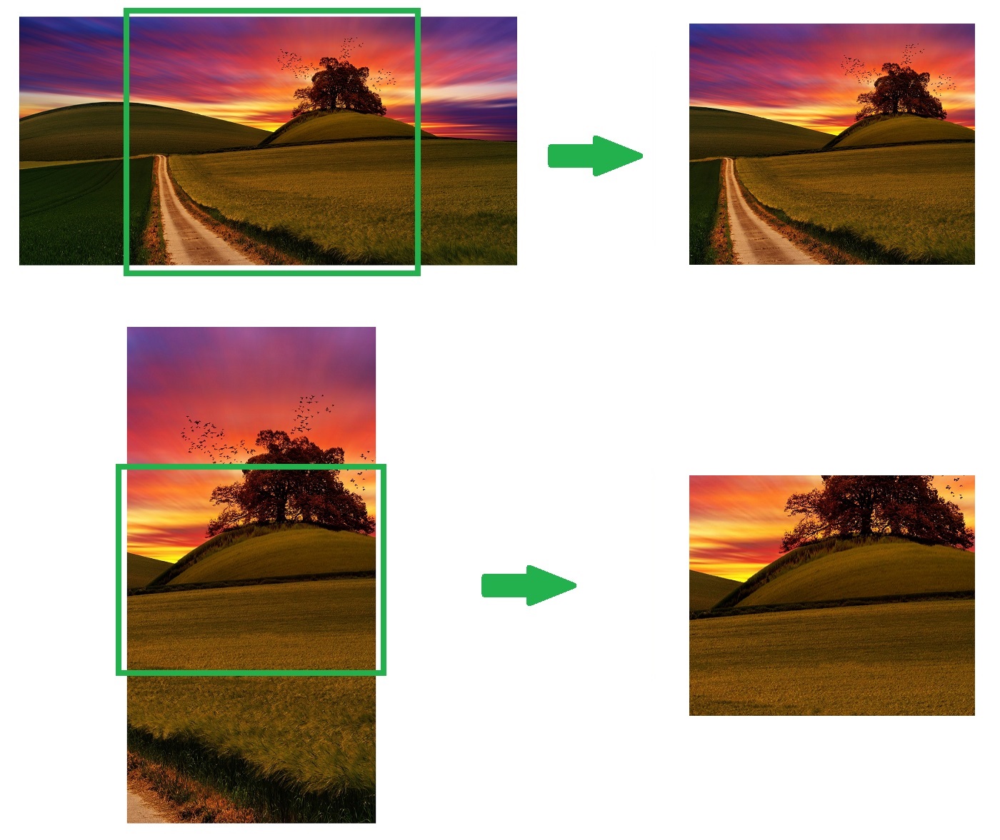 Screenshots to demonstrate how PXL crops and resizes