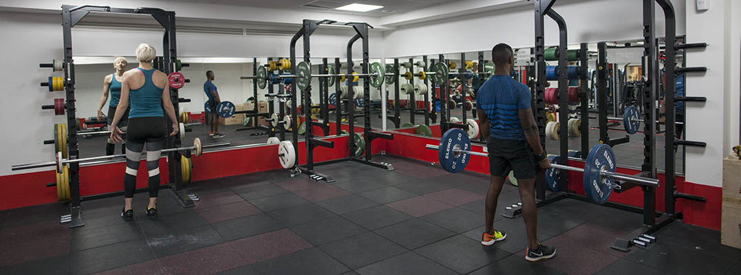 People exercising at a gym with various fitness equipment.